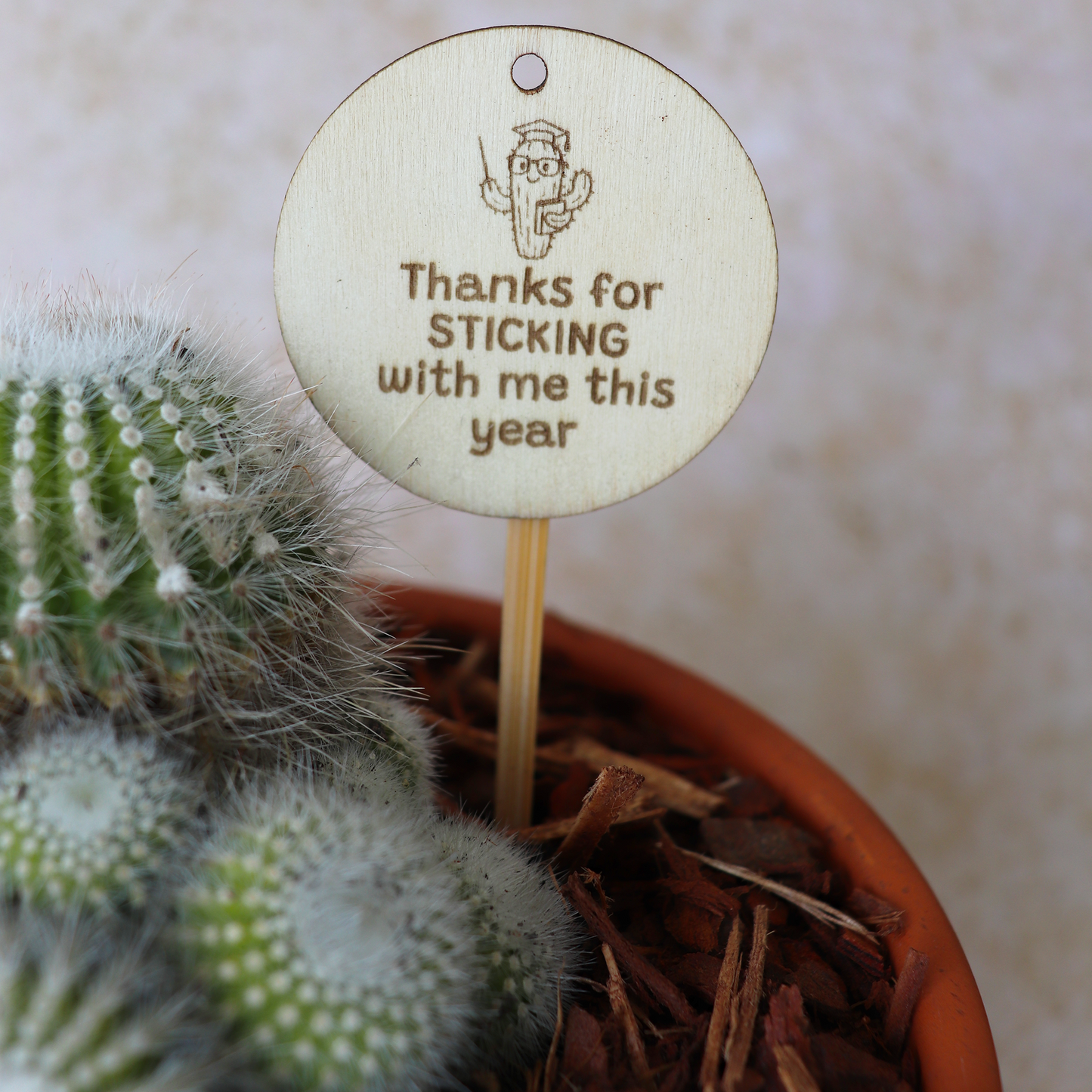 Teacher Gift Cactus