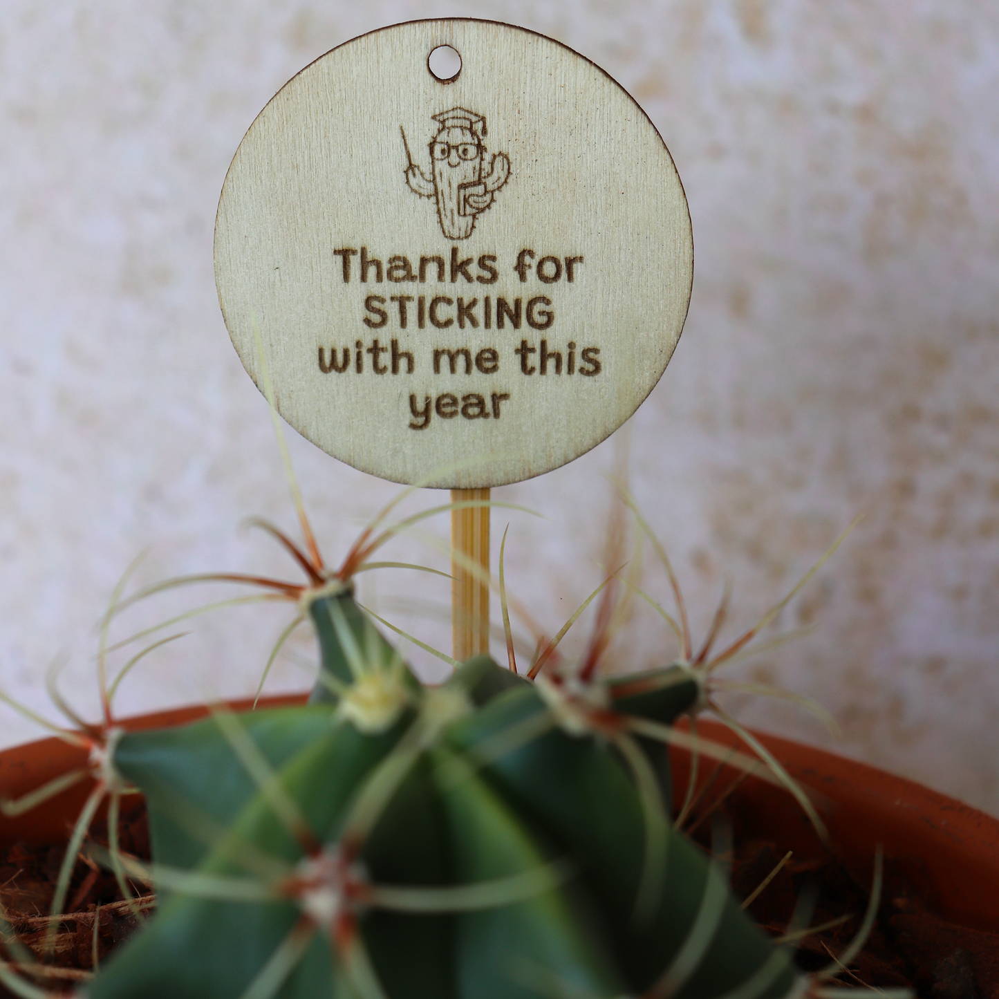 Cactus with a wooden tag reading 'Thanks for STICKING with me this year' on a textured background