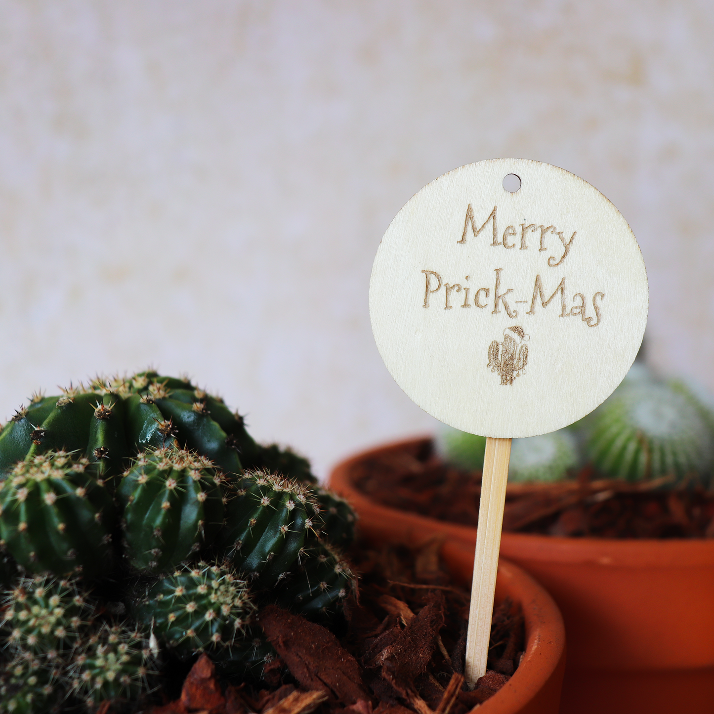 Merry Prick-Mas Plant Tag